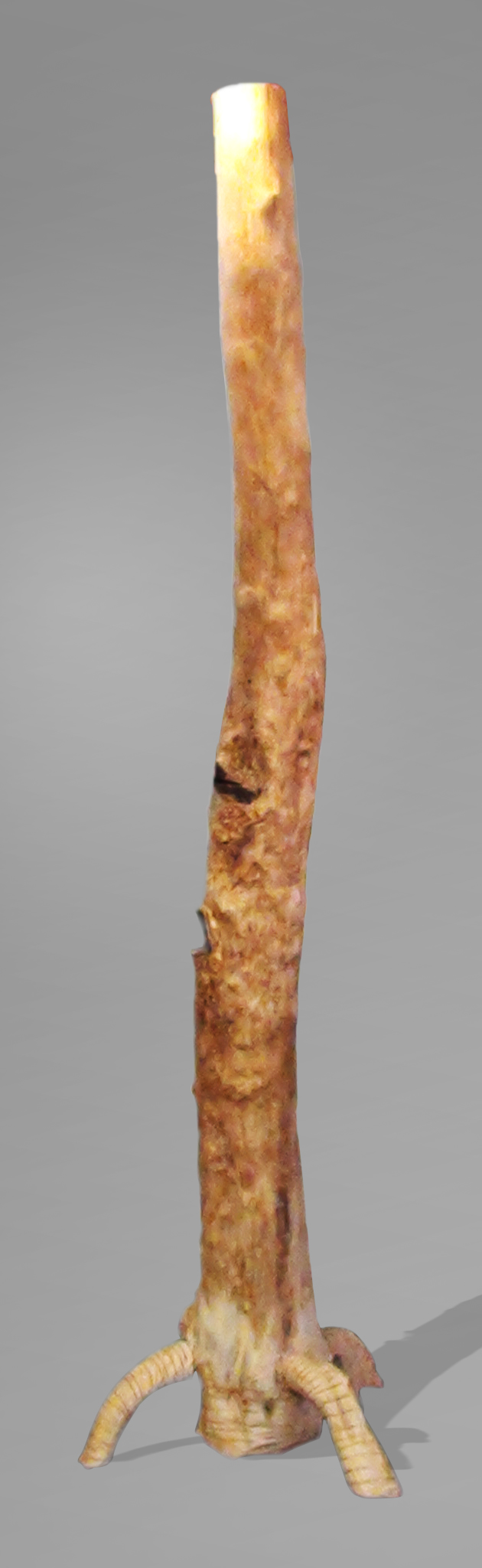 ԭľ